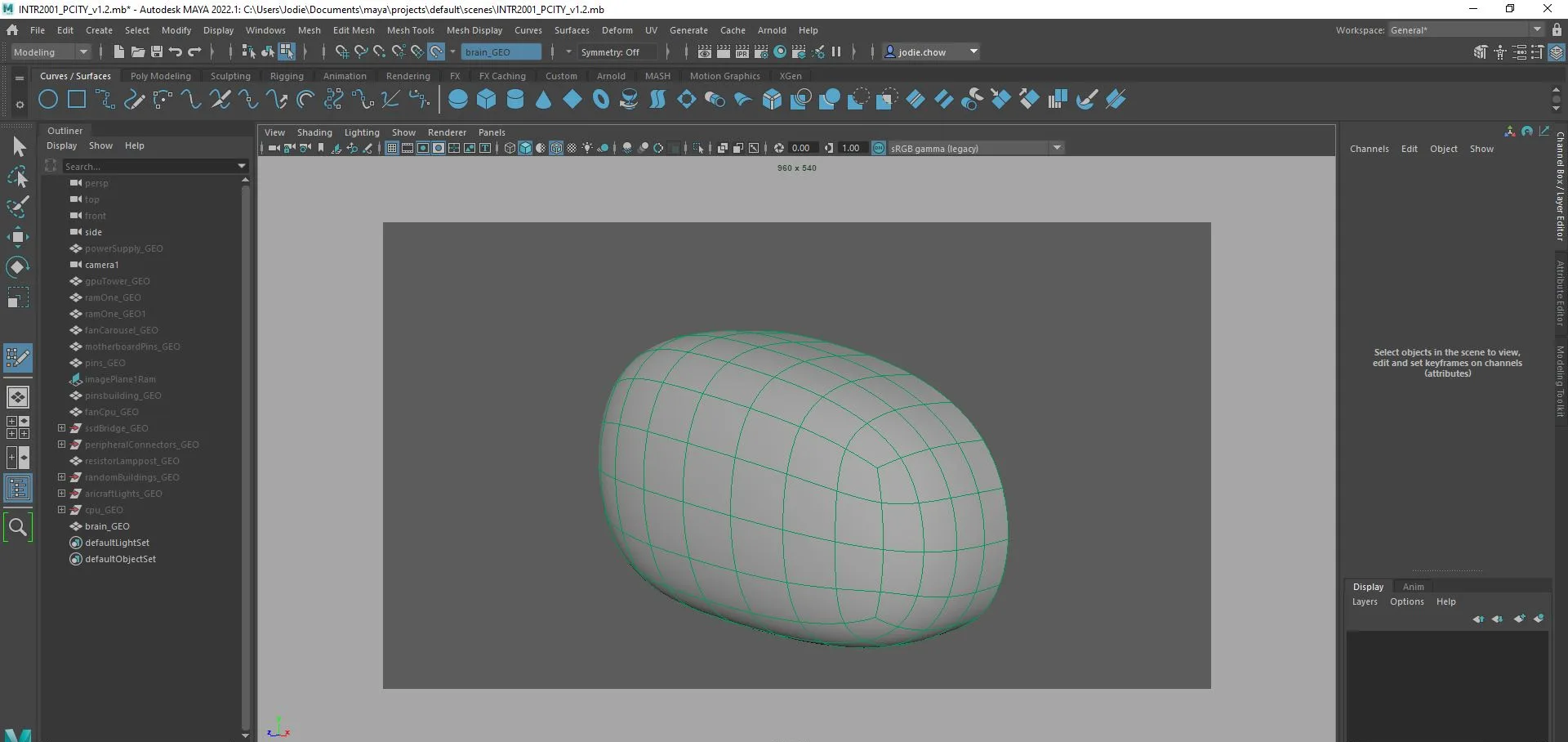 Brain starting as a smooth deformed sphere