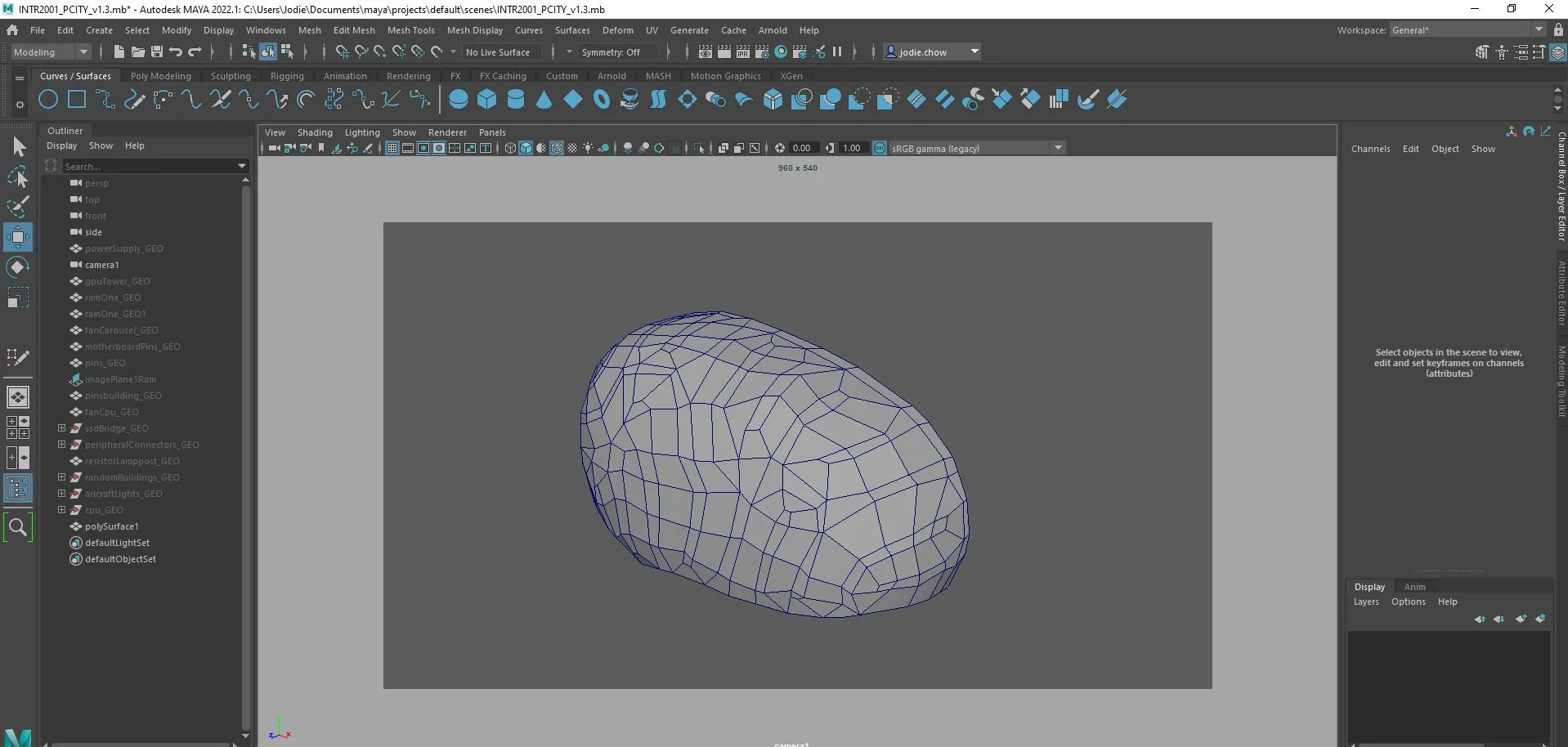 Brain with retopologised surface ready for sculpting