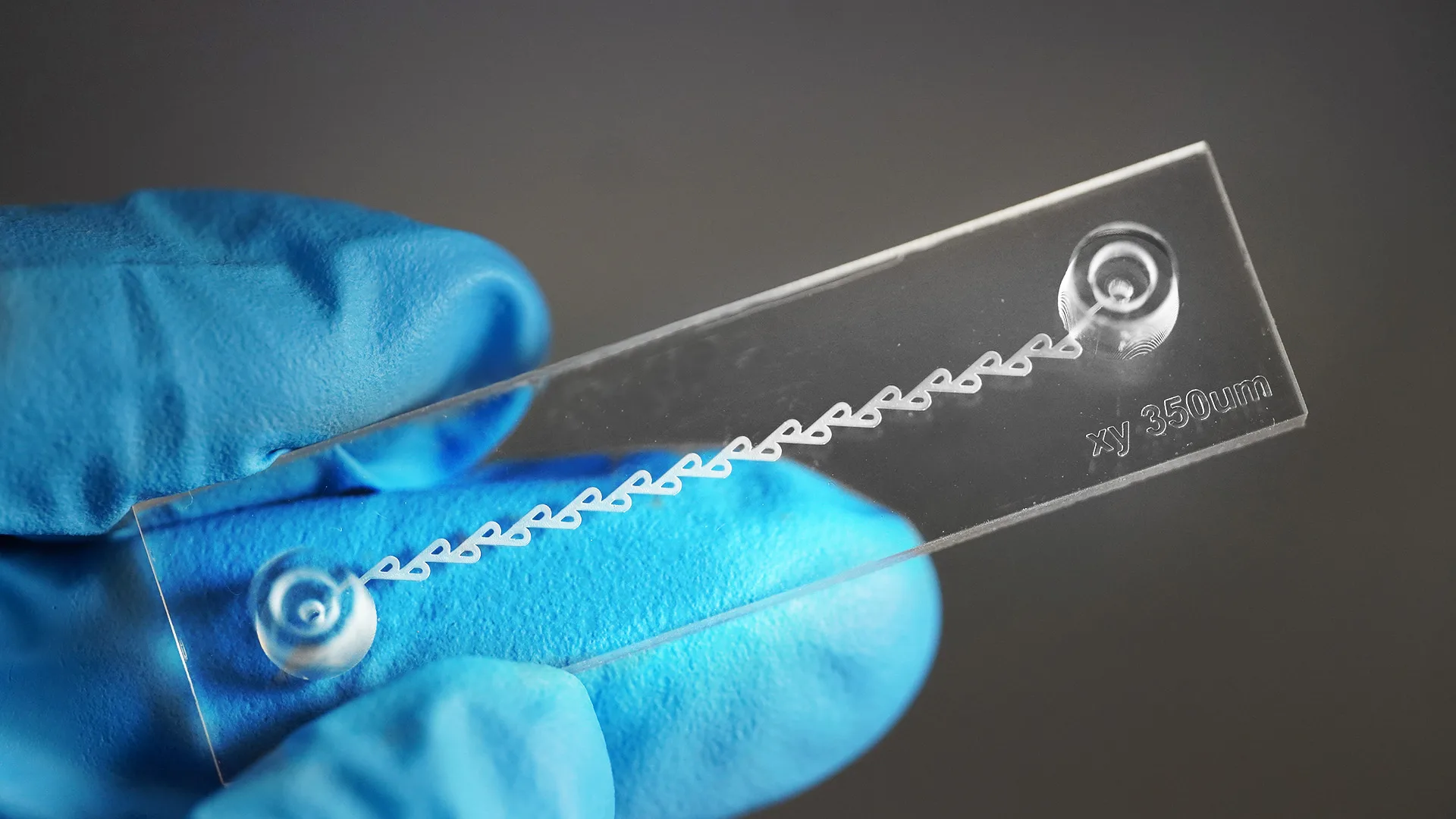 Clear Tesla valve chip held in a blue-gloved hand, with a zigzag channel of looped segments running between two ports and the text xy 350um printed on the chip